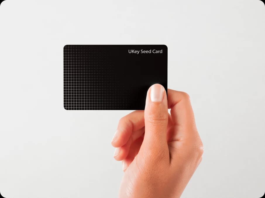 Wallet Recovery