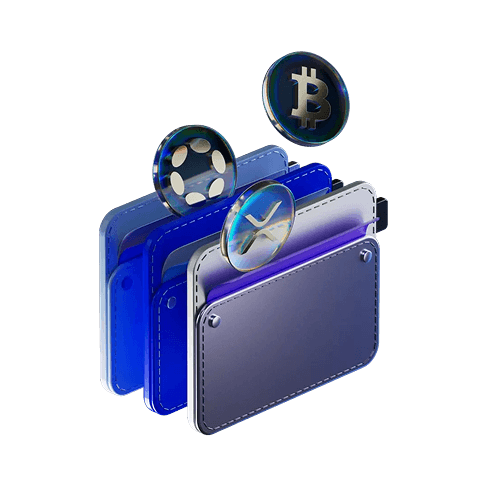 Learn Wallet Security